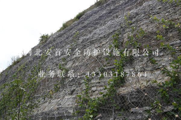 SNS柔性边坡防护网 SNS柔性边坡防护网